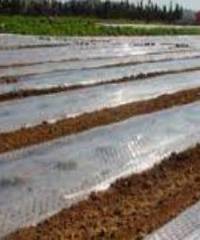 Соляризация - метод обеззараживания почвы